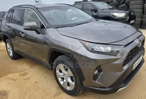 Toyota RAV4 XLE AWD 2019 Gris
