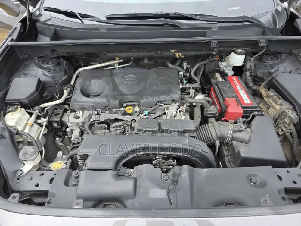Toyota RAV4 XLE AWD 2019 Gris