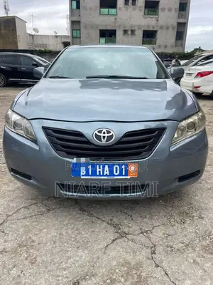 Toyota Camry 2010 Gris