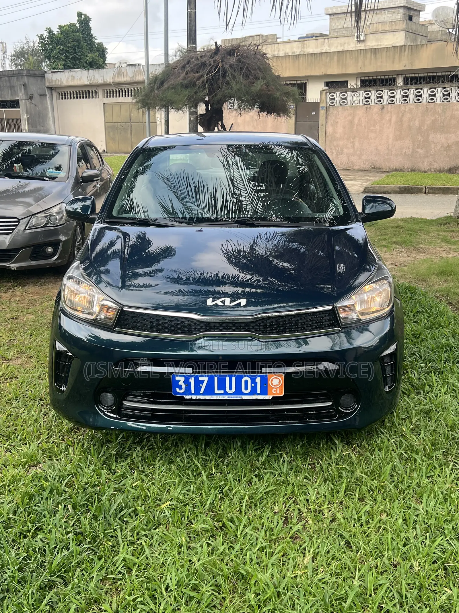 Kia Pegas 2023 Vert
