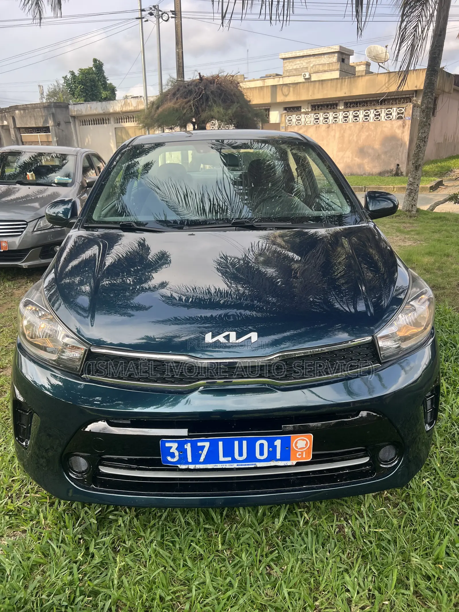 Kia Pegas 2023 Vert