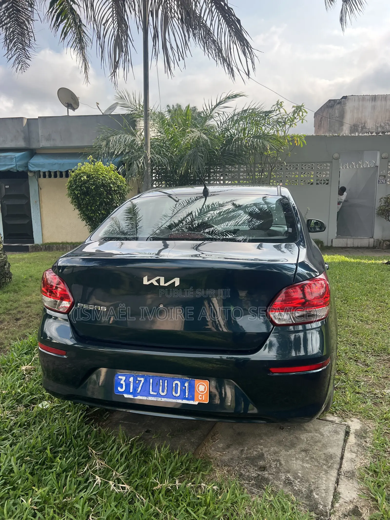 Kia Pegas 2023 Vert