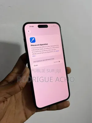 Nouveau Apple iPhone 13 Pro Max 256 GB Gris