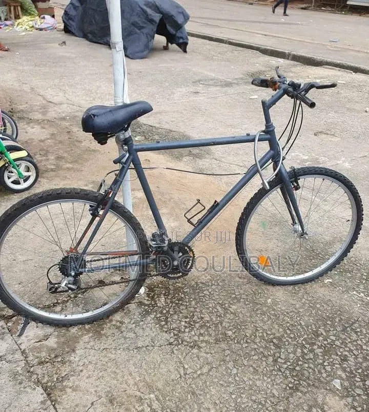 Vélo Roulant