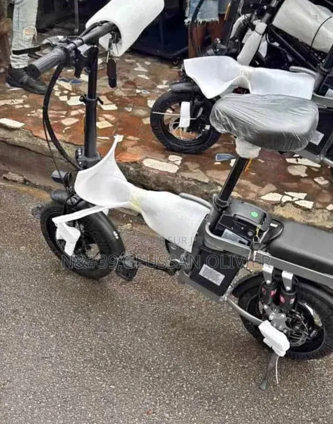 Vélo Électrique