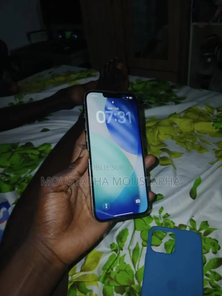 Apple iPhone 13 Pro Max 256 GB Doré