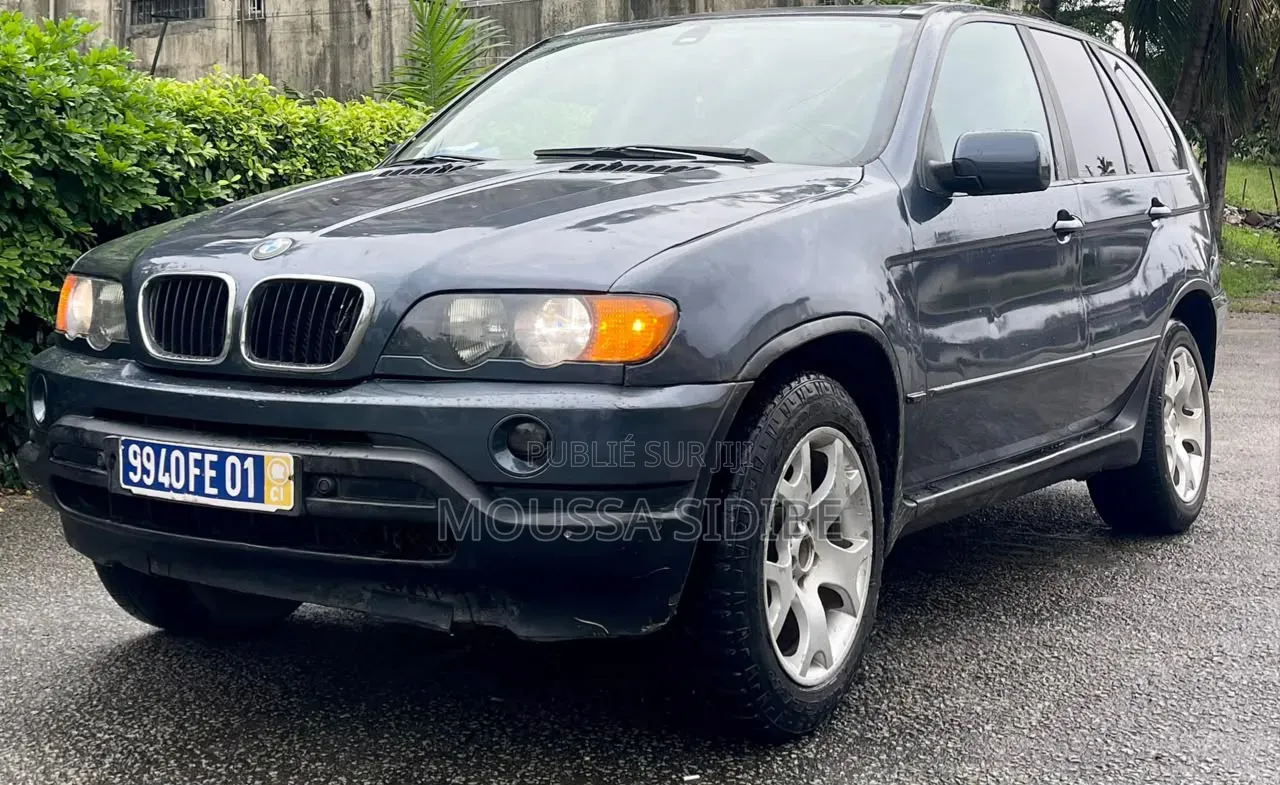 BMW X5 2004 Bleu
