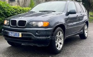 BMW X5 2004 Bleu