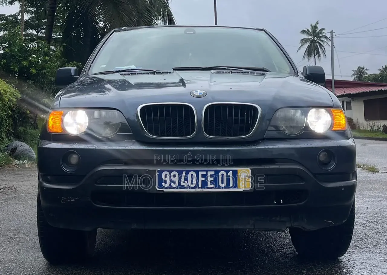 BMW X5 2004 Bleu