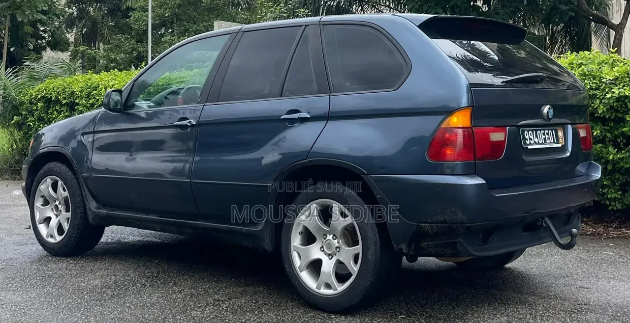 BMW X5 2004 Bleu