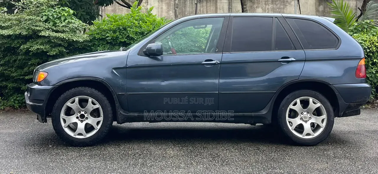 BMW X5 2004 Bleu