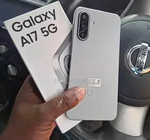 Nouveau Samsung Galaxy A17 5G 256 GB Gris