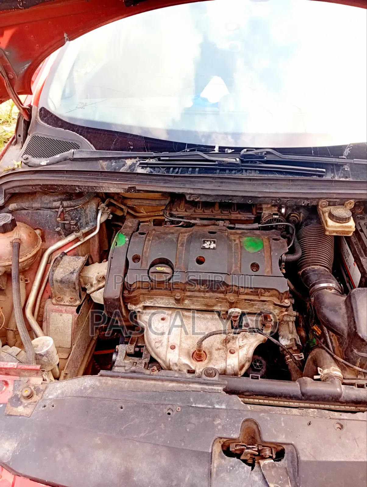 Peugeot 307 2007 Doré
