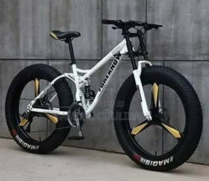 Vélo Électrique