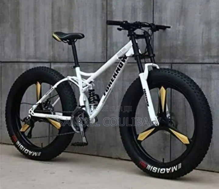 Vélo Électrique