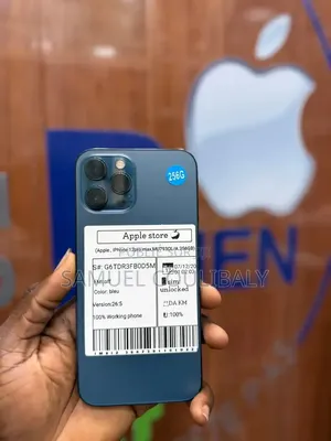 Nouveau Apple iPhone 13 Pro Max 256 GB Autre