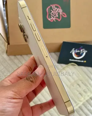 Nouveau Apple iPhone 13 Pro Max 256 GB Autre