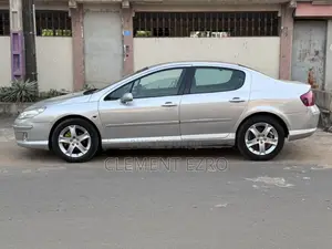 Peugeot 407 2006 Gris