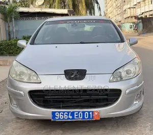Peugeot 407 2006 Gris