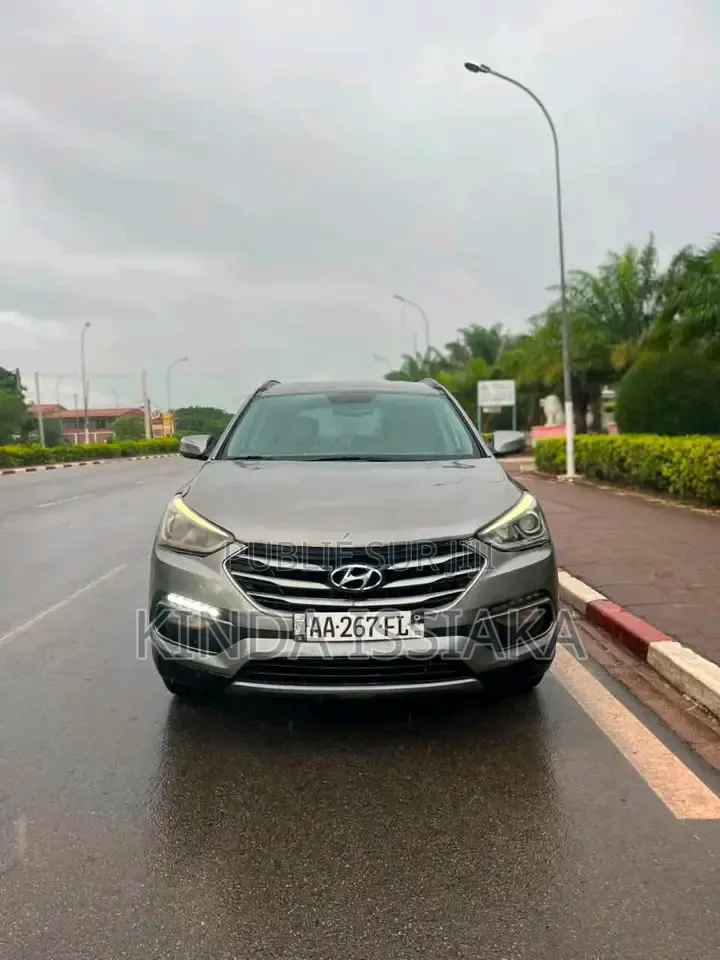 Hyundai Santa Fe 2019 Gris