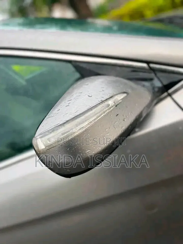 Hyundai Santa Fe 2019 Gris