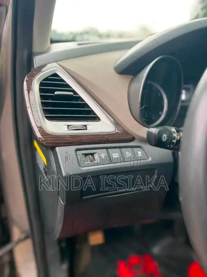 Hyundai Santa Fe 2019 Gris