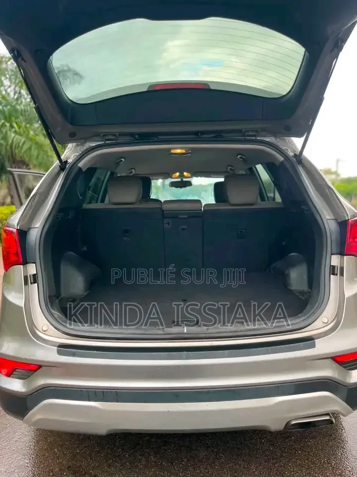 Hyundai Santa Fe 2019 Gris