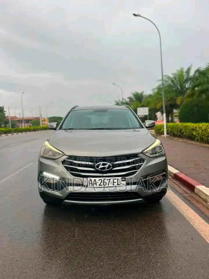 Hyundai Santa Fe 2019 Gris