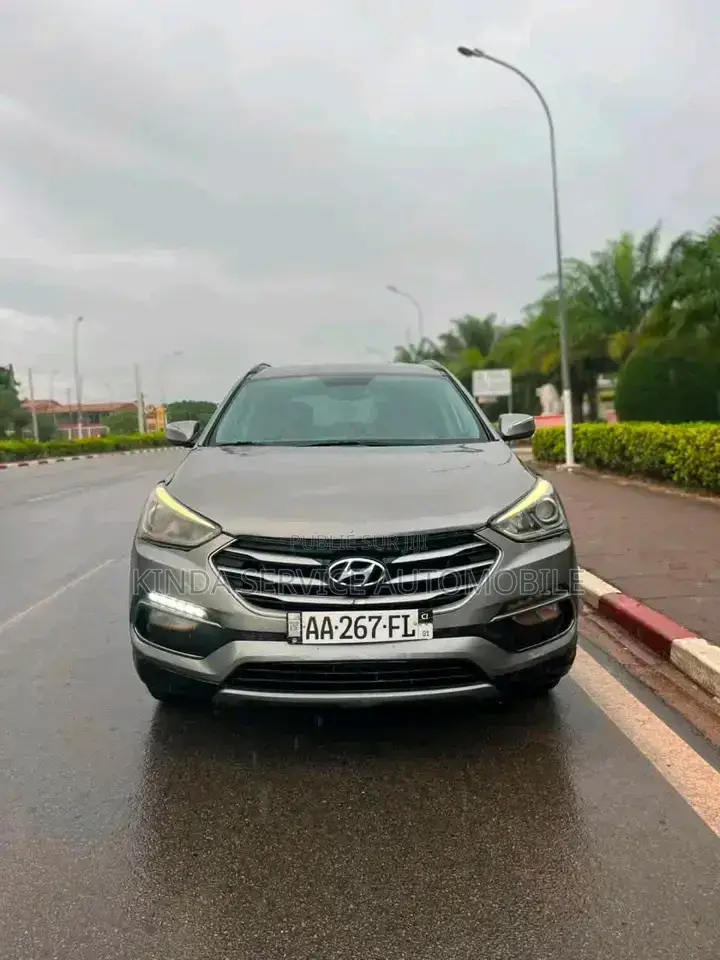 Hyundai Santa Fe 2019 Gris