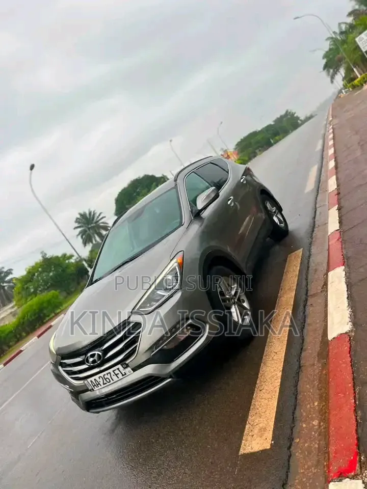 Hyundai Santa Fe 2019 Gris