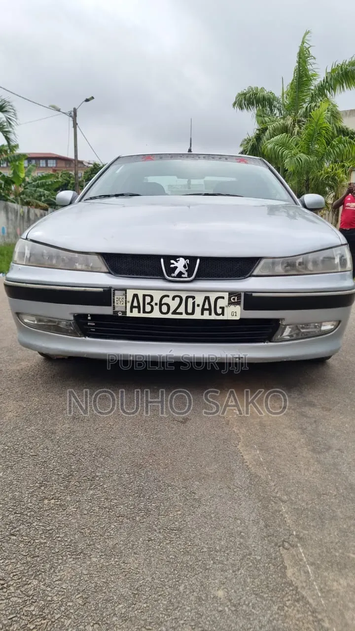 Peugeot 406 2002 Gris