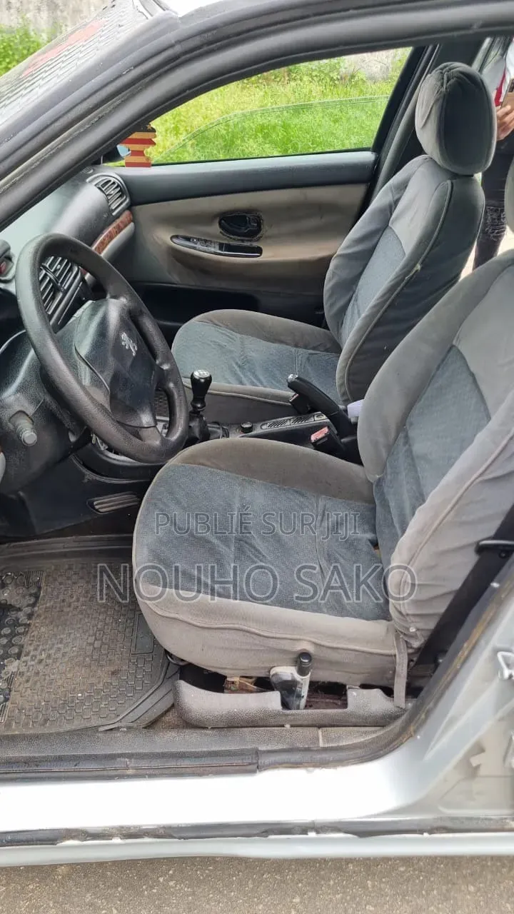 Peugeot 406 2002 Gris