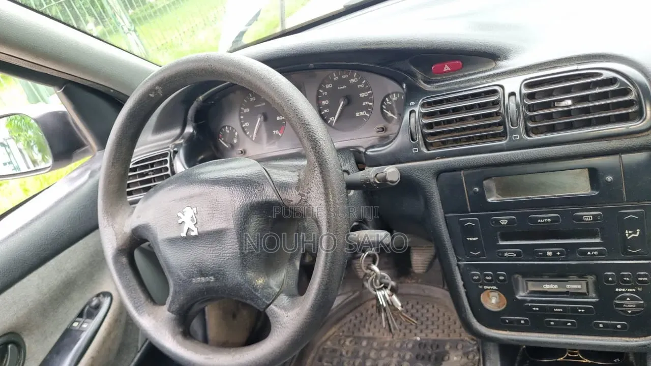 Peugeot 406 2002 Gris