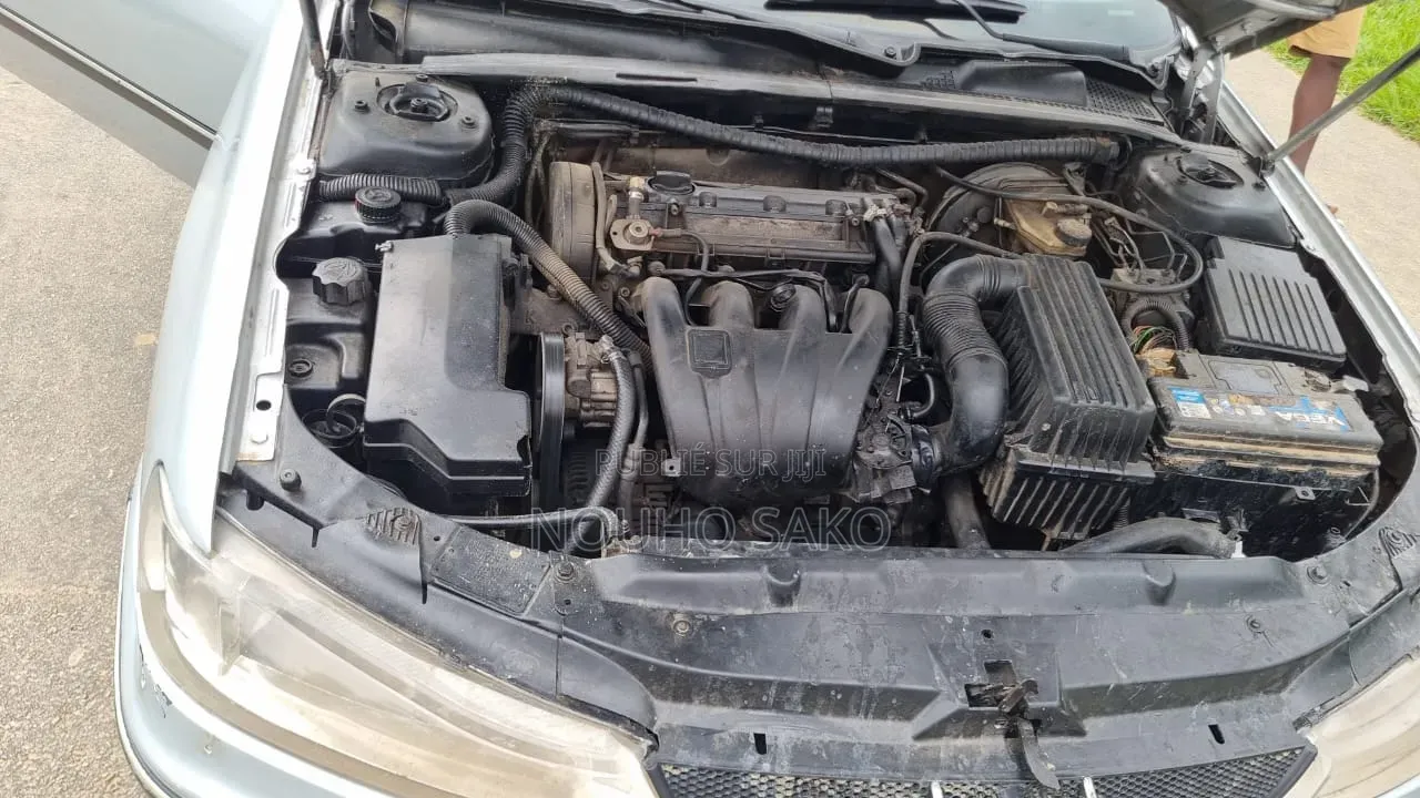 Peugeot 406 2002 Gris