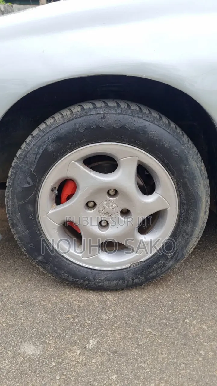 Peugeot 406 2002 Gris