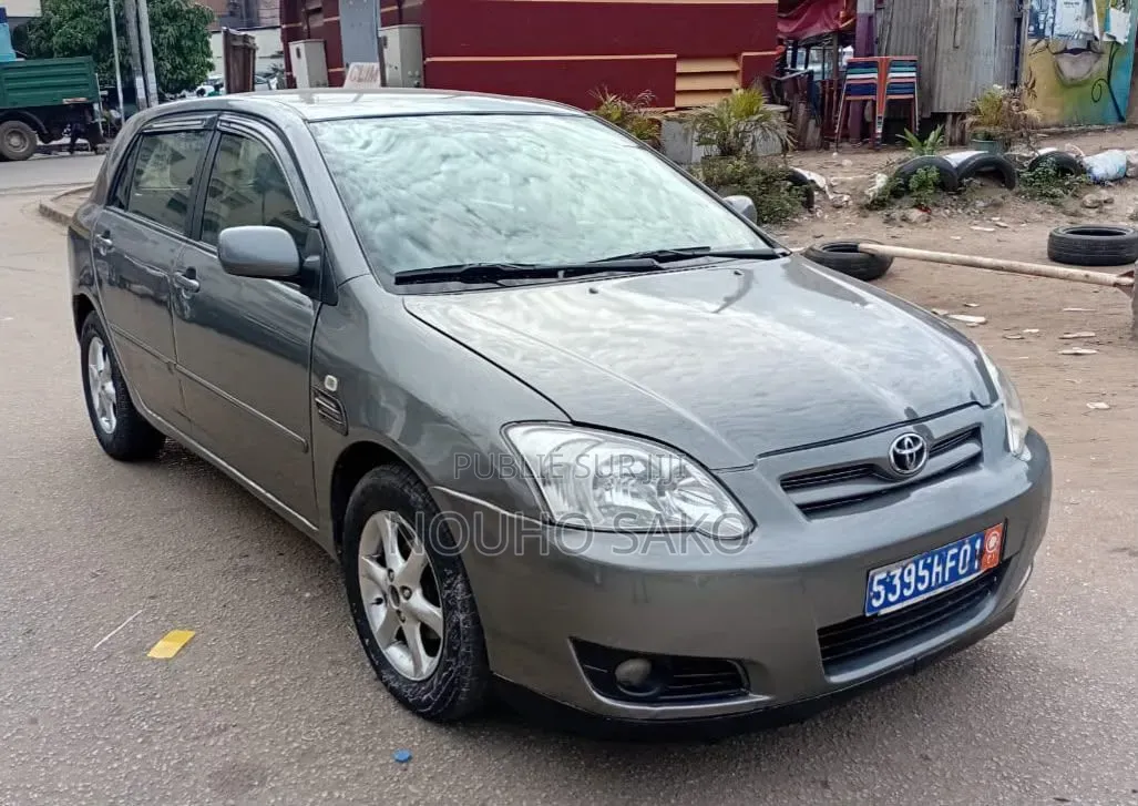 Toyota Corolla 2004 Gris