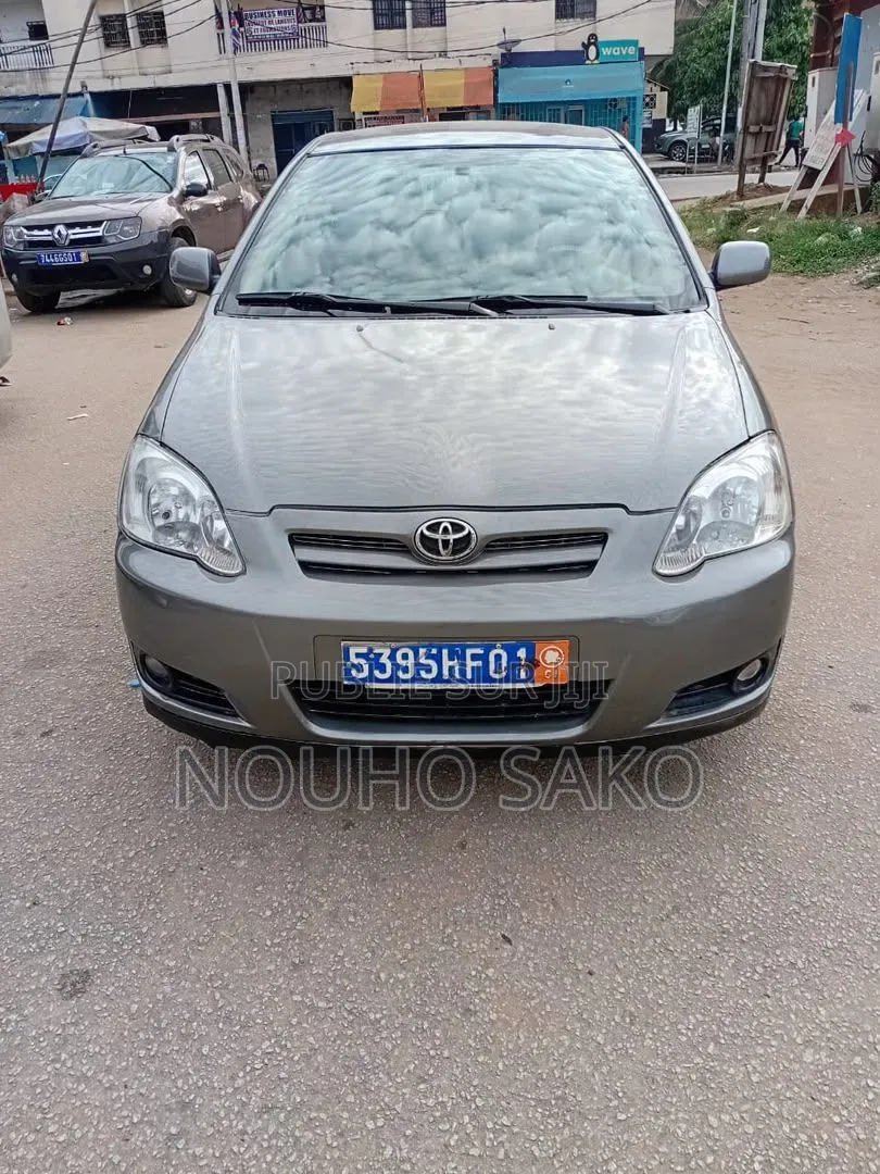 Toyota Corolla 2004 Gris