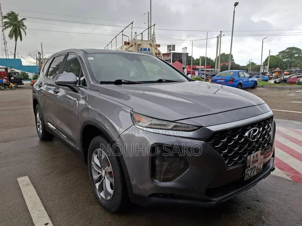 Hyundai Santa Fe 2019 Gris