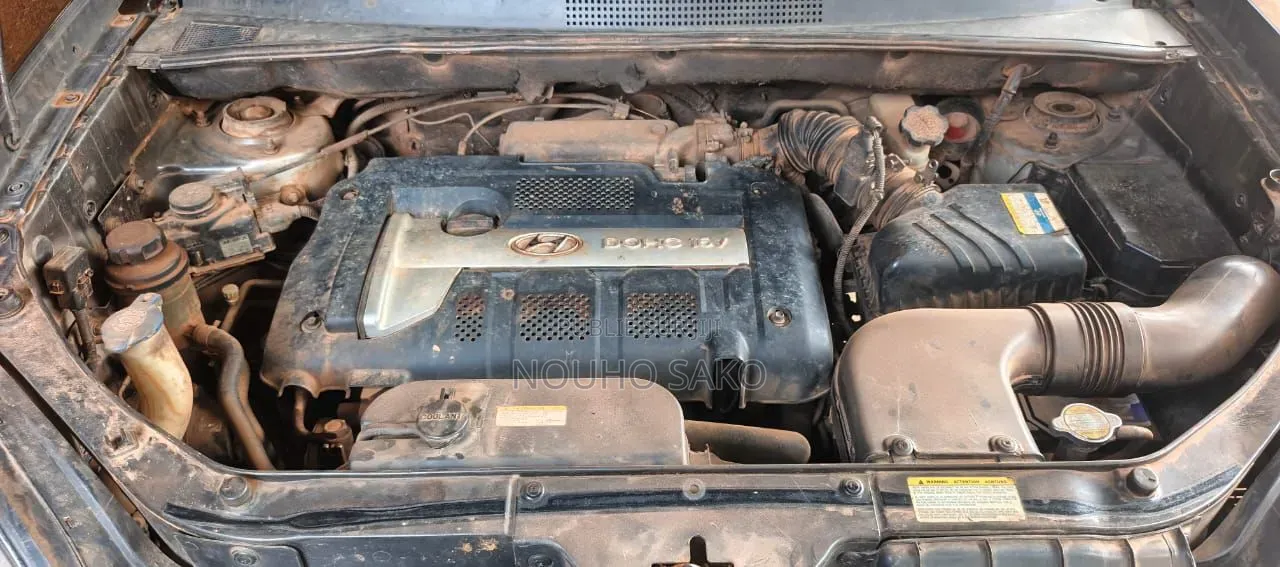 Hyundai Tucson 2006 Gris