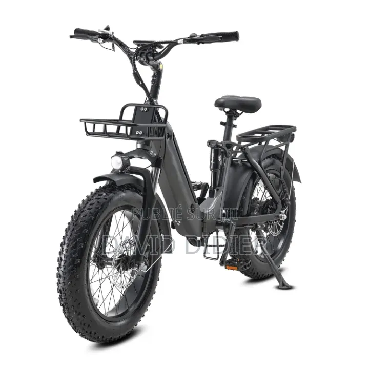 Vélo Électrique