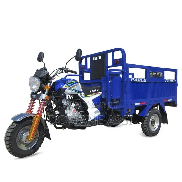 Nouveau Dayang DY150-28A 2016 Bleu