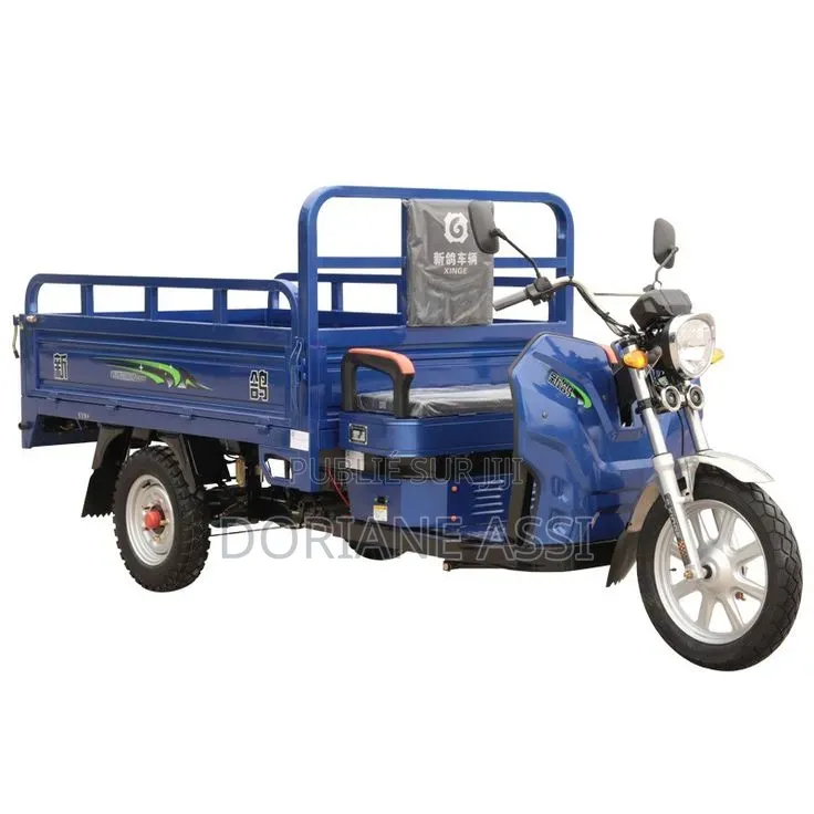Nouveau Dayang DY150-28A 2016 Bleu