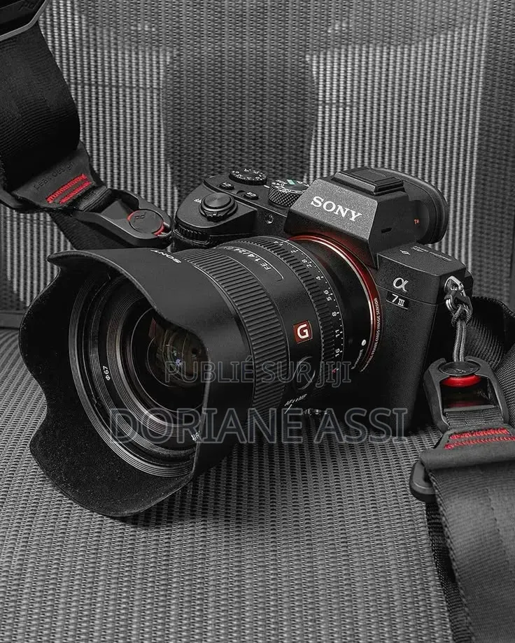 Sony A7r Et Sony A7 QLL