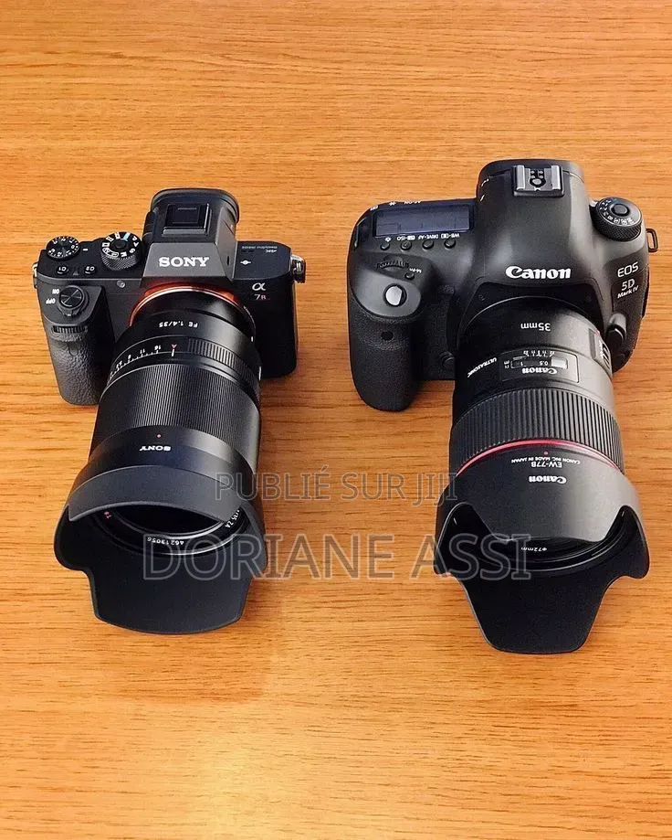 Sony A7r Et Sony A7 QLL