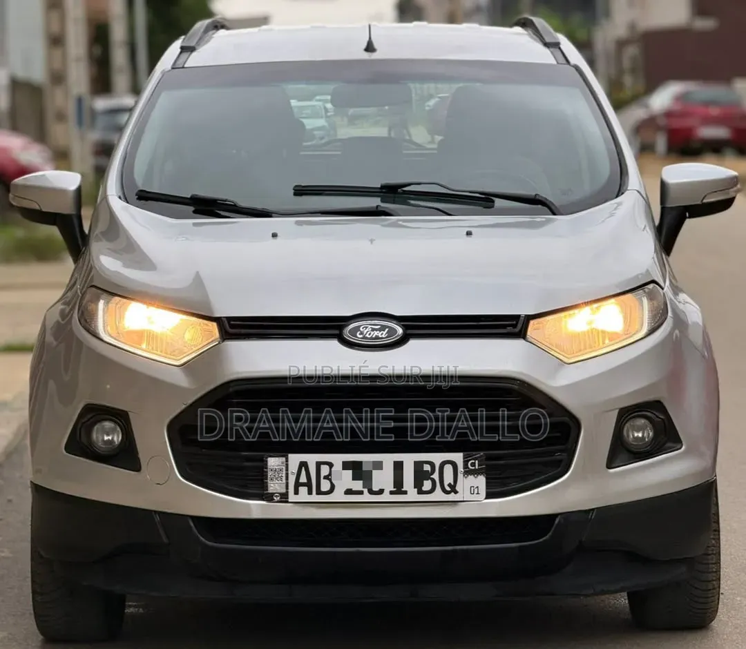 Ford Ecosport 2014 Gris