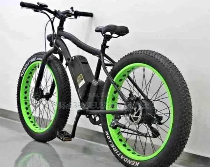 Vélo Électrique