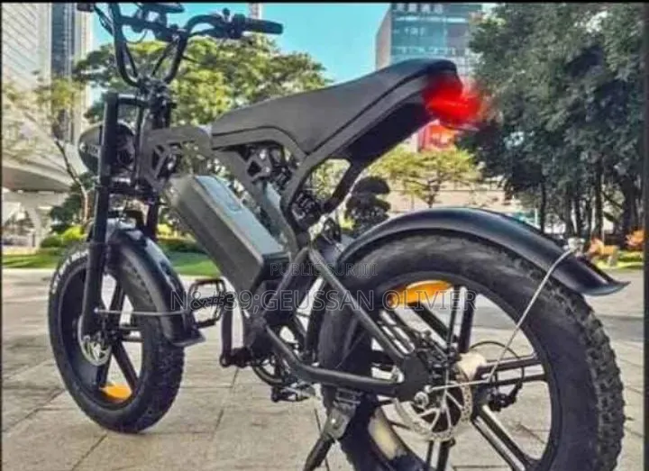 Vélo Électrique