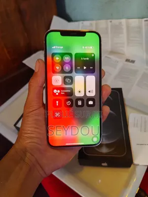 Nouveau Apple iPhone 12 Pro Max 256 GB Gris