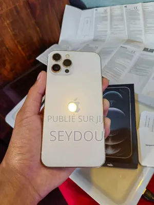 Nouveau Apple iPhone 12 Pro Max 256 GB Gris