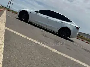 Tesla Model 3 2023 Gris